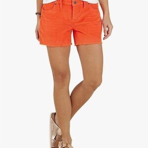 Carve Designs 4” Oahu Shorts Size 12